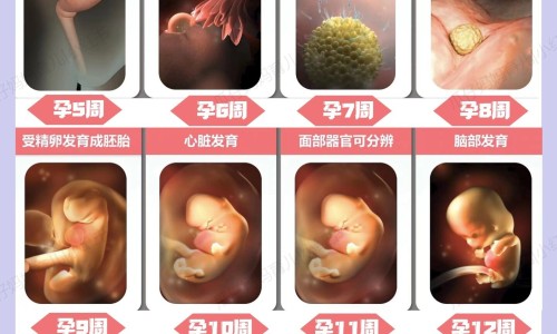 甜椒青椒有区别吗-青甜椒怎么炒才好吃视频教程、甜青椒的功效 -甜青椒功效网