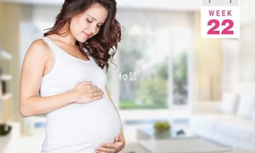 青甜椒怎么炒才好吃视频教程、甜青椒的功效 -甜青椒功效网